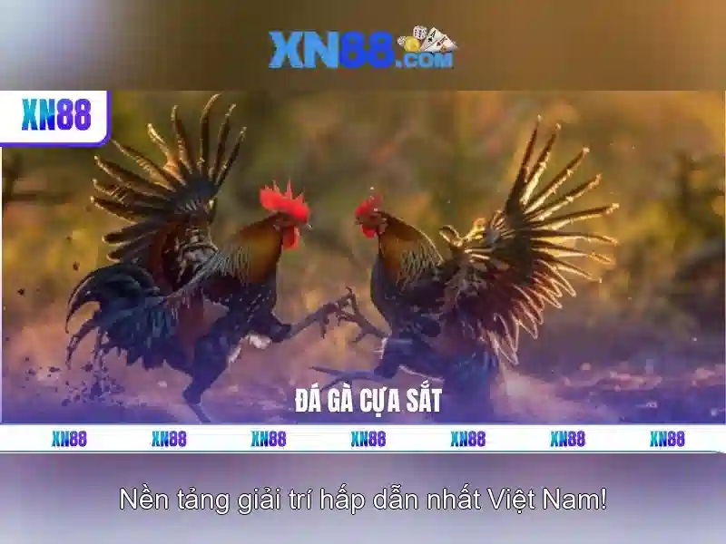 Chiến-lược-chuyển-đổi-ROI-cao